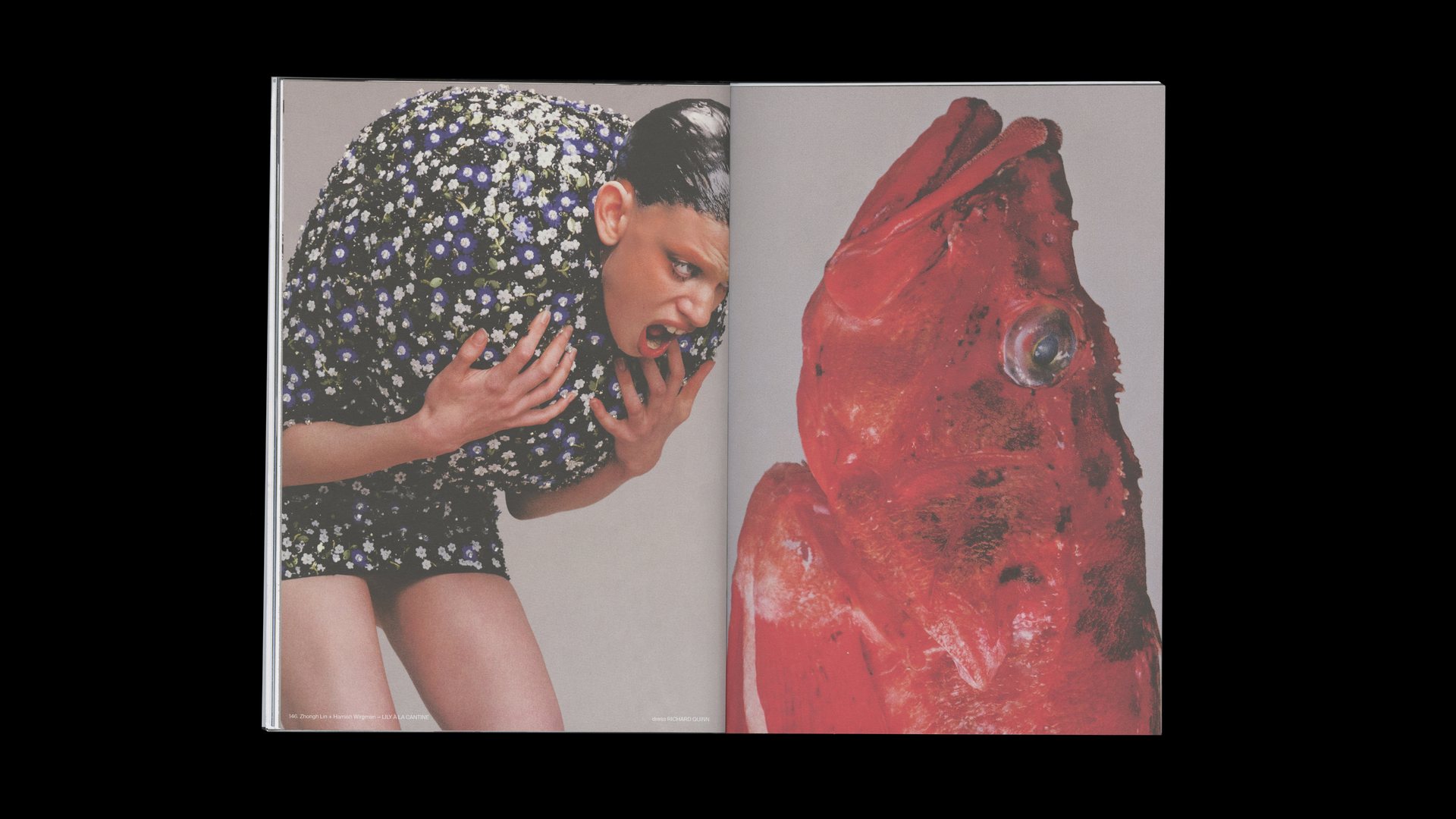 Carcy — double page du magazine, vue 13 — Les Graphiquants